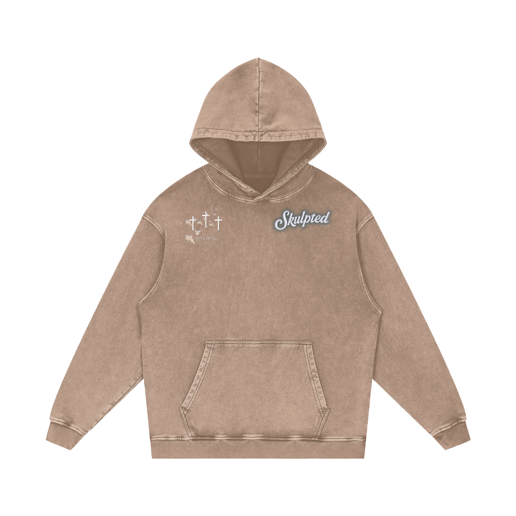 Daniel in the Lions den hoodie