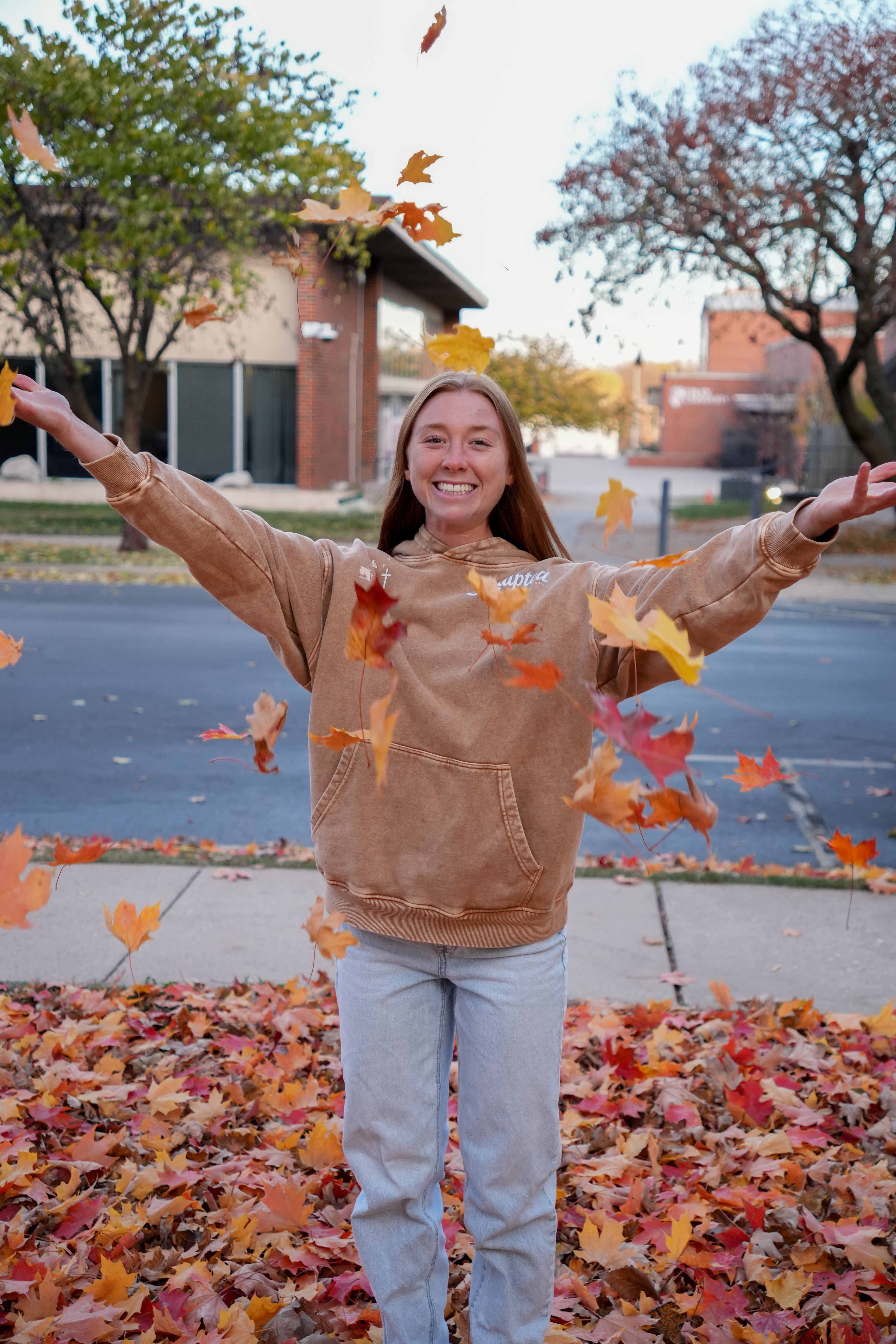 Daniel and the lions’ den hoodie