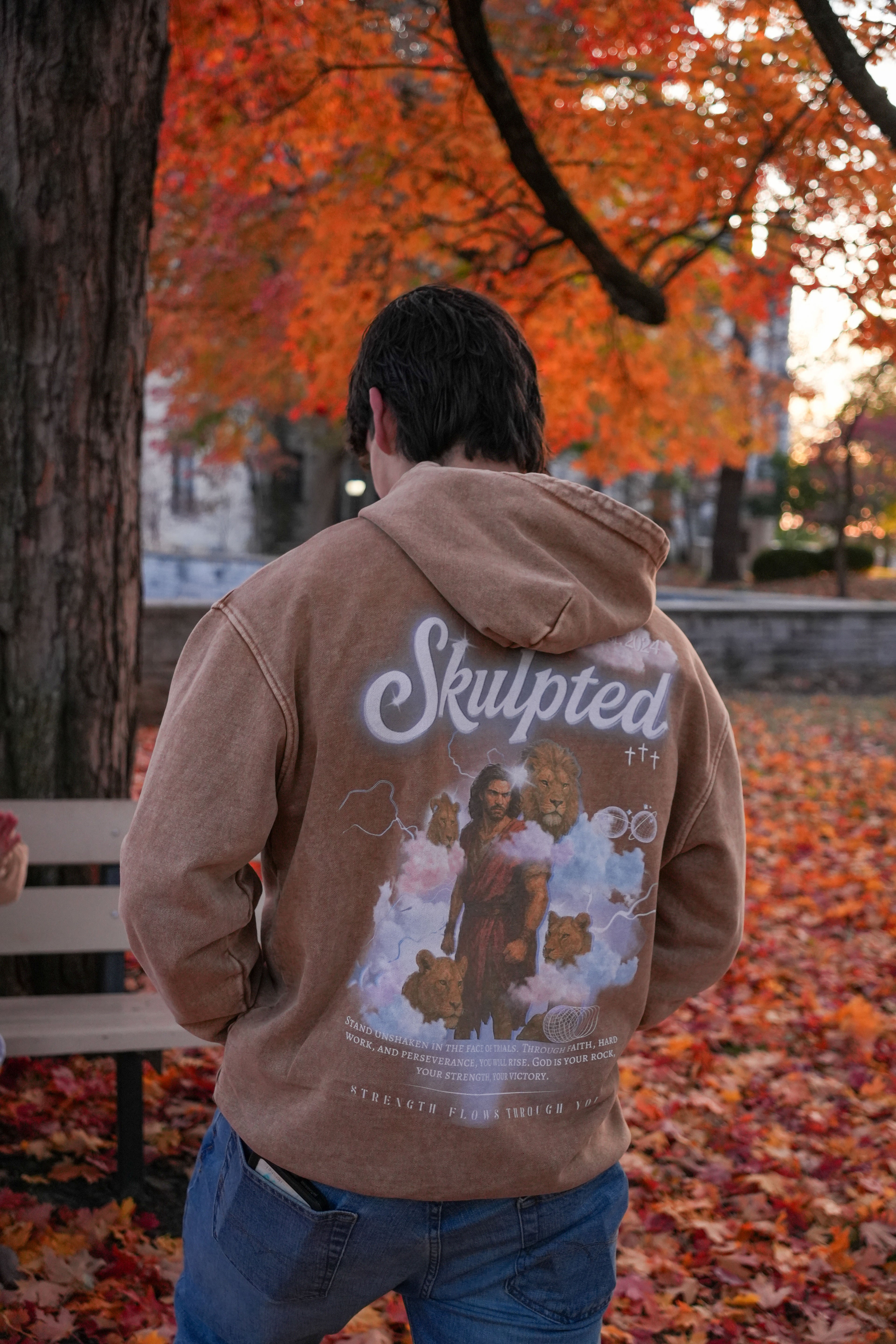 Daniel and the lions’ den hoodie