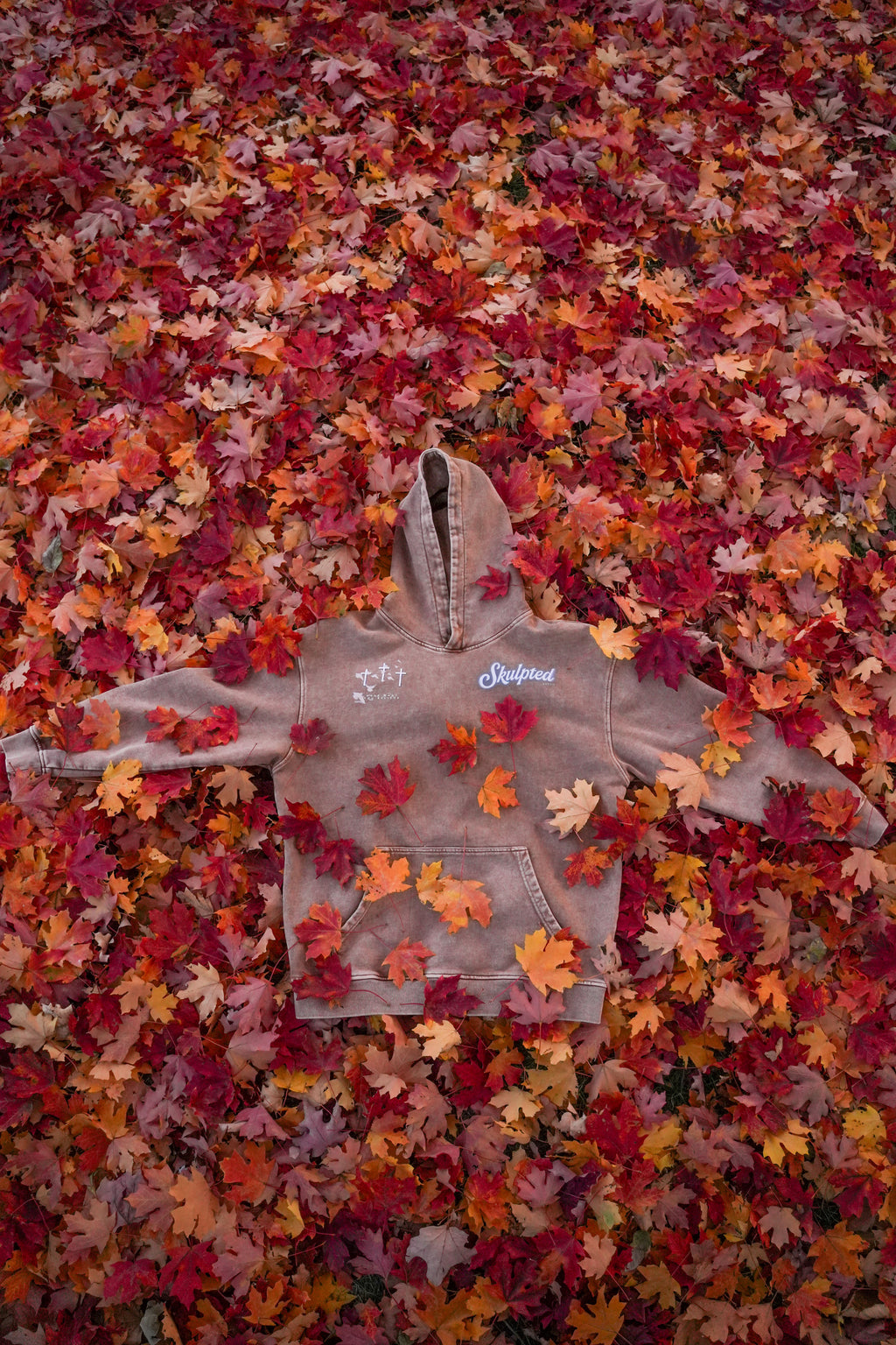 Daniel and the lions’ den hoodie