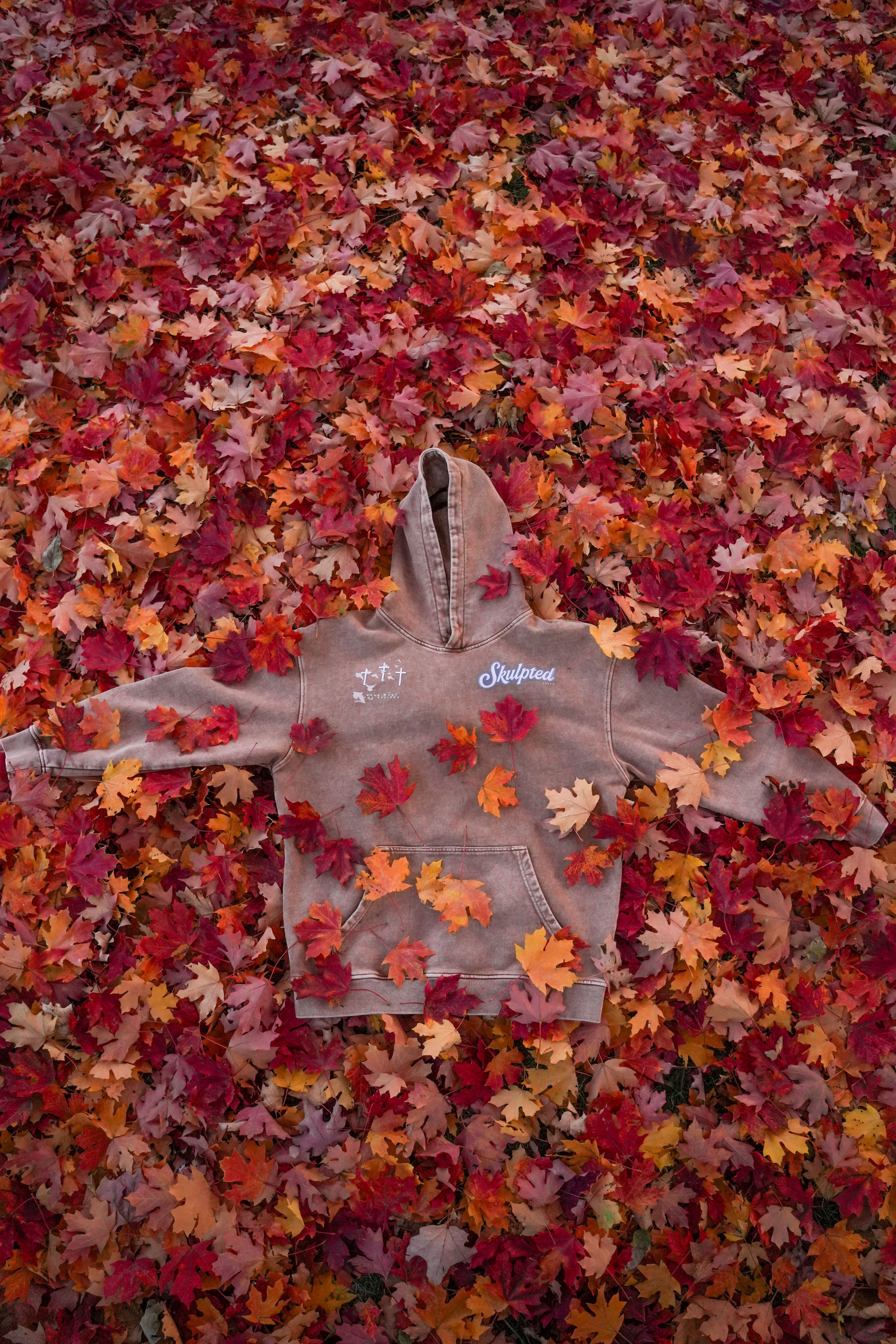 Daniel and the lions’ den hoodie