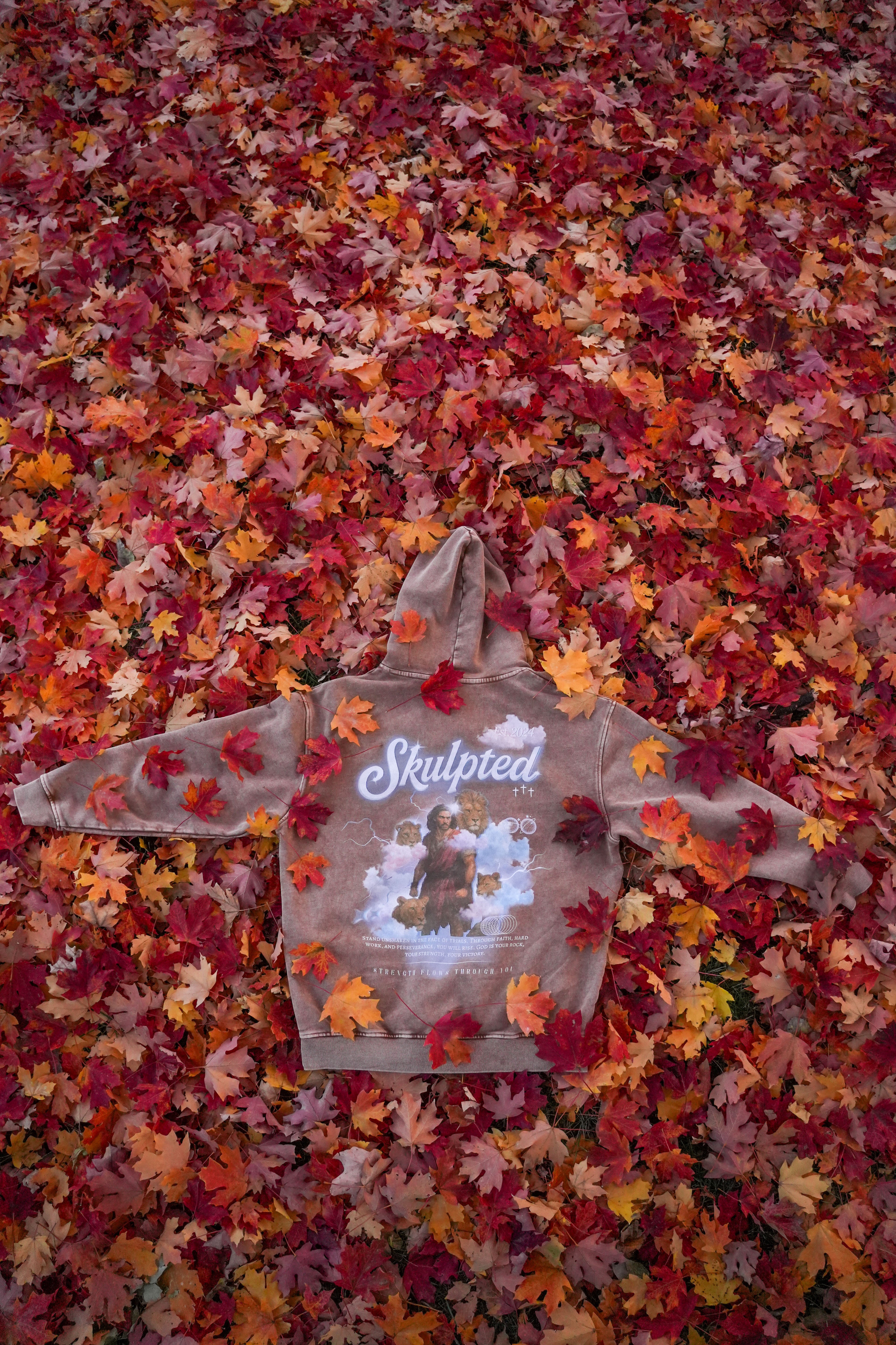 Daniel and the lions’ den hoodie